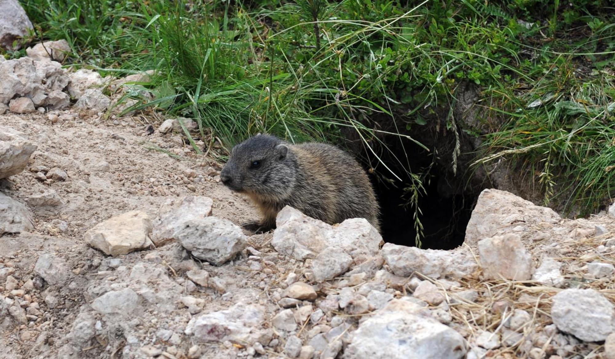 L'Grof - Al Conte Lägenhet San Martino in Badia Exteriör bild
